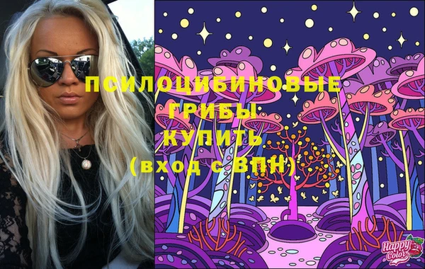 твердый Балахна