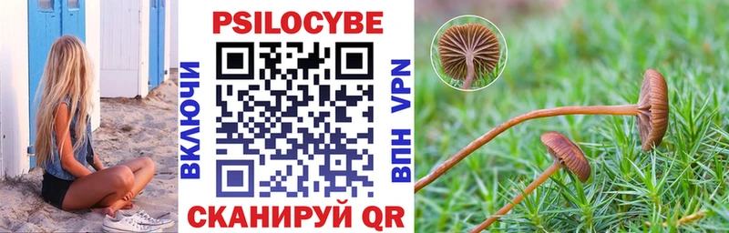 Галлюциногенные грибы мицелий Кудрово